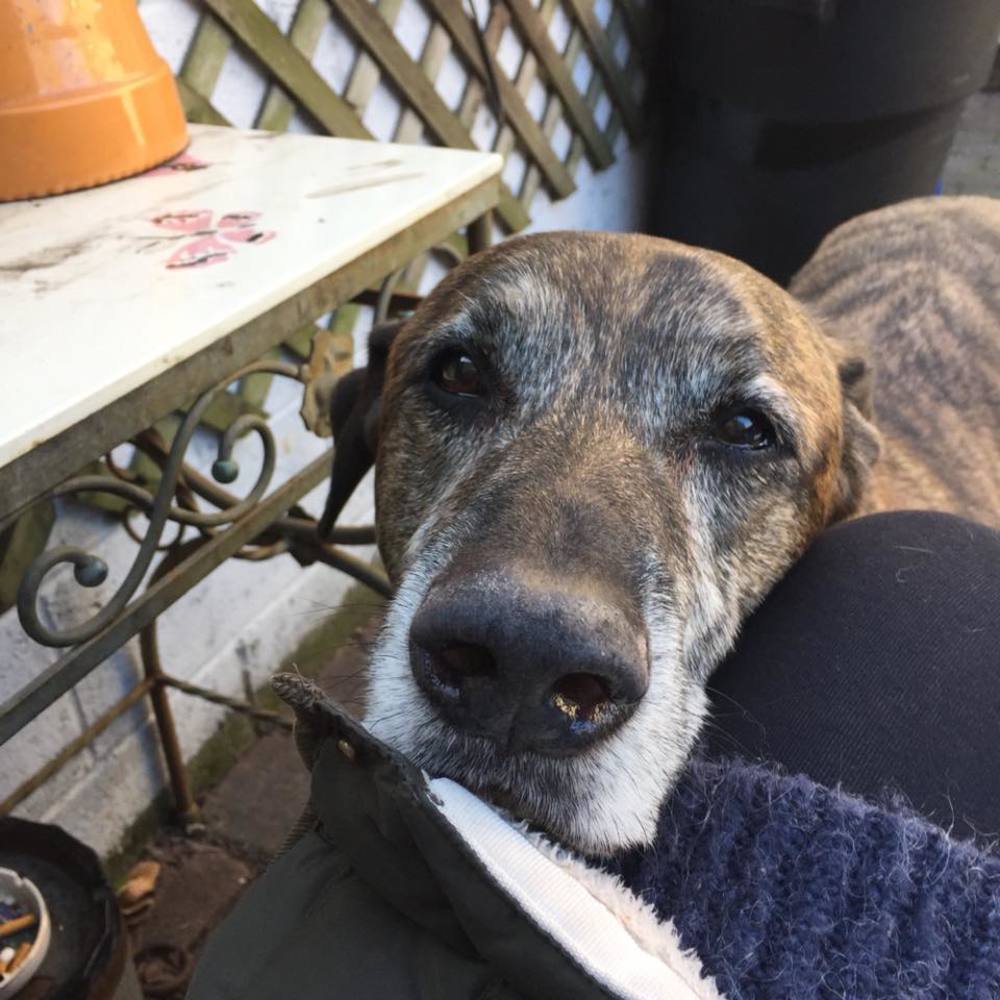 Meet your Posher, Karen